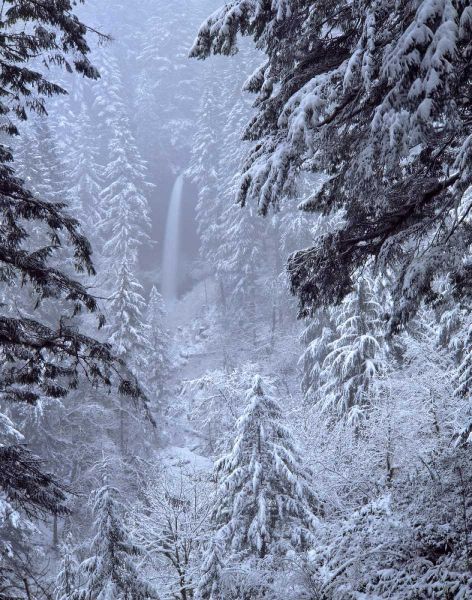 Oregon, Silver Falls North Falls in winter snow